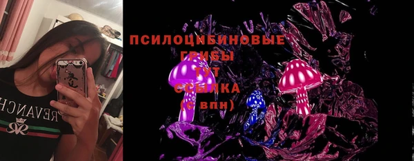 МДПВ Абдулино