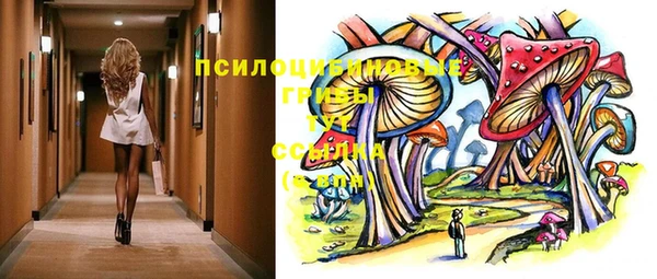 мяу мяу мука Покачи