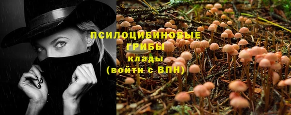 мяу мяу мука Алексеевка