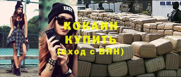 винт Абаза