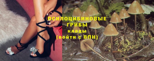 мяу мяу мука Алексеевка