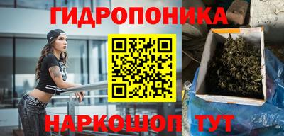 стаф Кулебаки