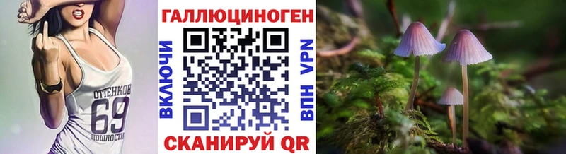 купить закладку  Красноперекопск  darknet Telegram  Псилоцибиновые грибы GOLDEN TEACHER 