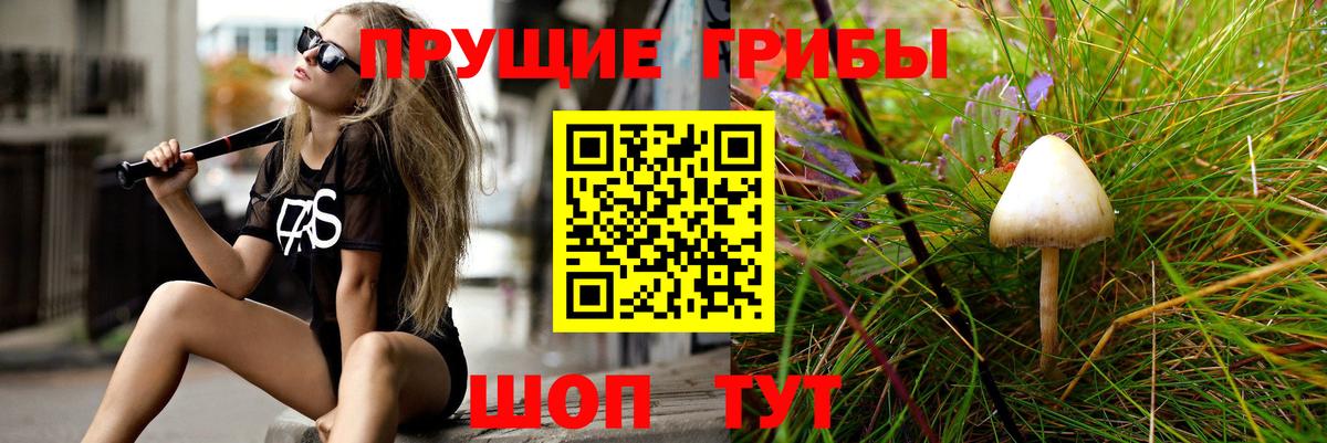 Галлюциногенные грибы MAGIC MUSHROOMS Красноперекопск